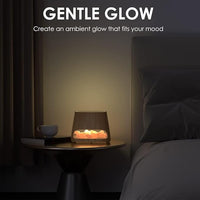 SereneGlow Aromatherapy HumidifierTM